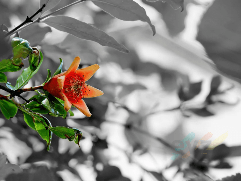 Dare to be&nbsp;Different